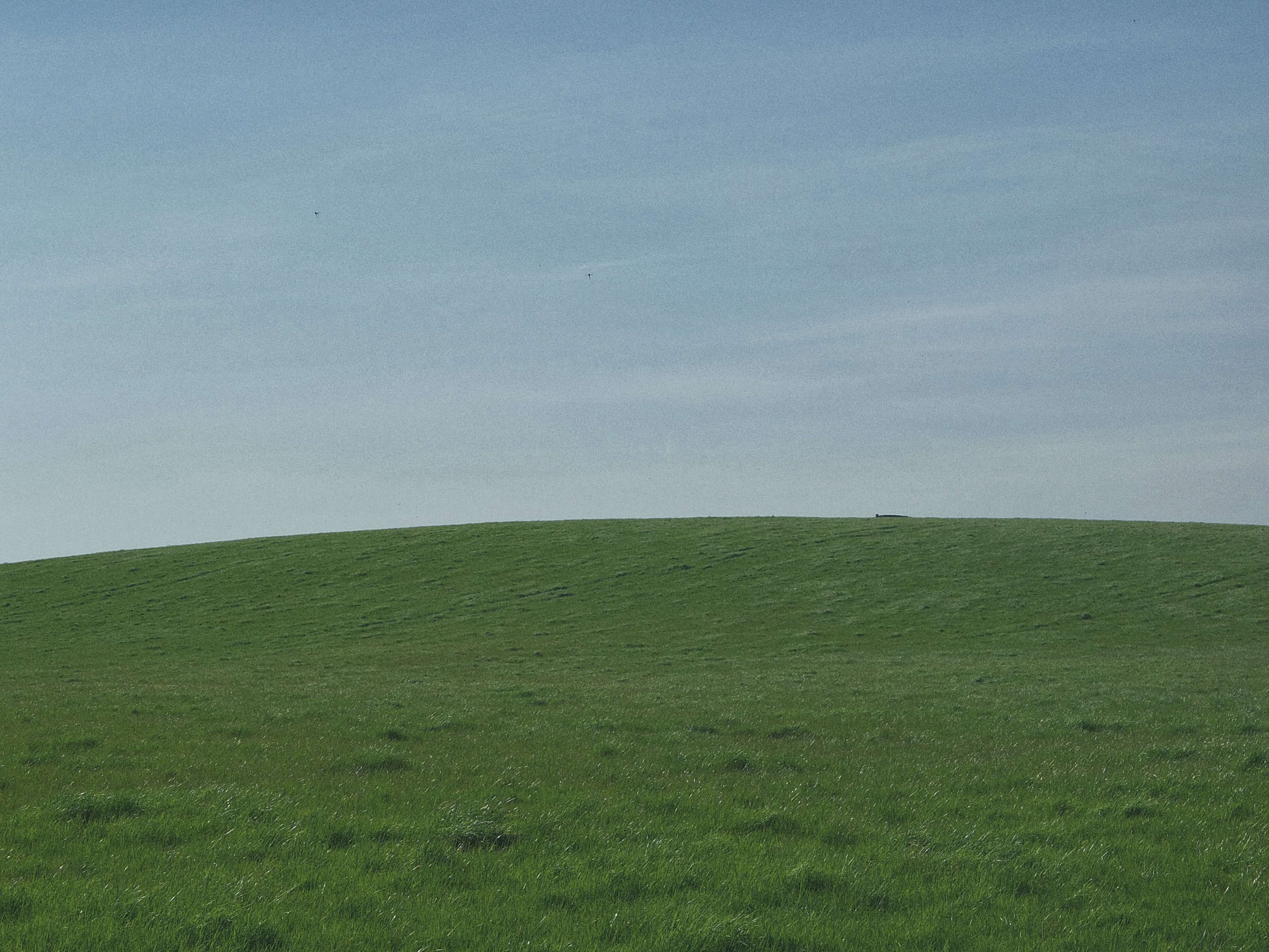 Why We Started Minimal Mind